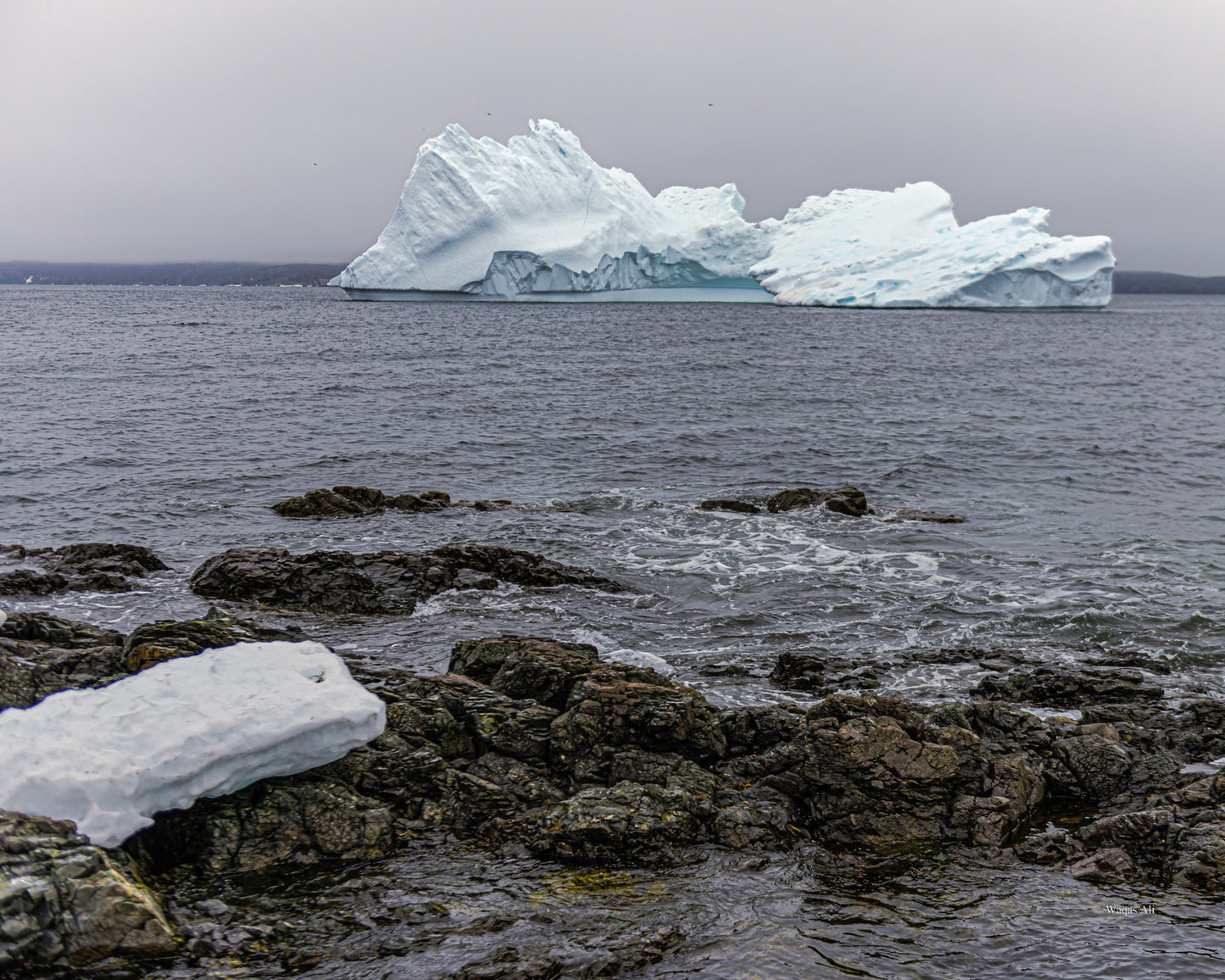 Iceberg - Triton, Newfoundland and Labrador, Canada