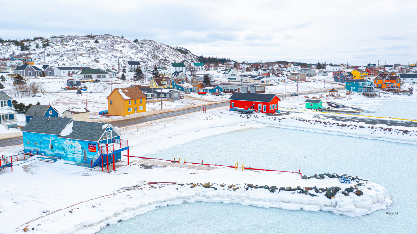 Embracing the serene beauty of freshly fallen snow - Twillingate, Newfoundland and Labrador, Canada