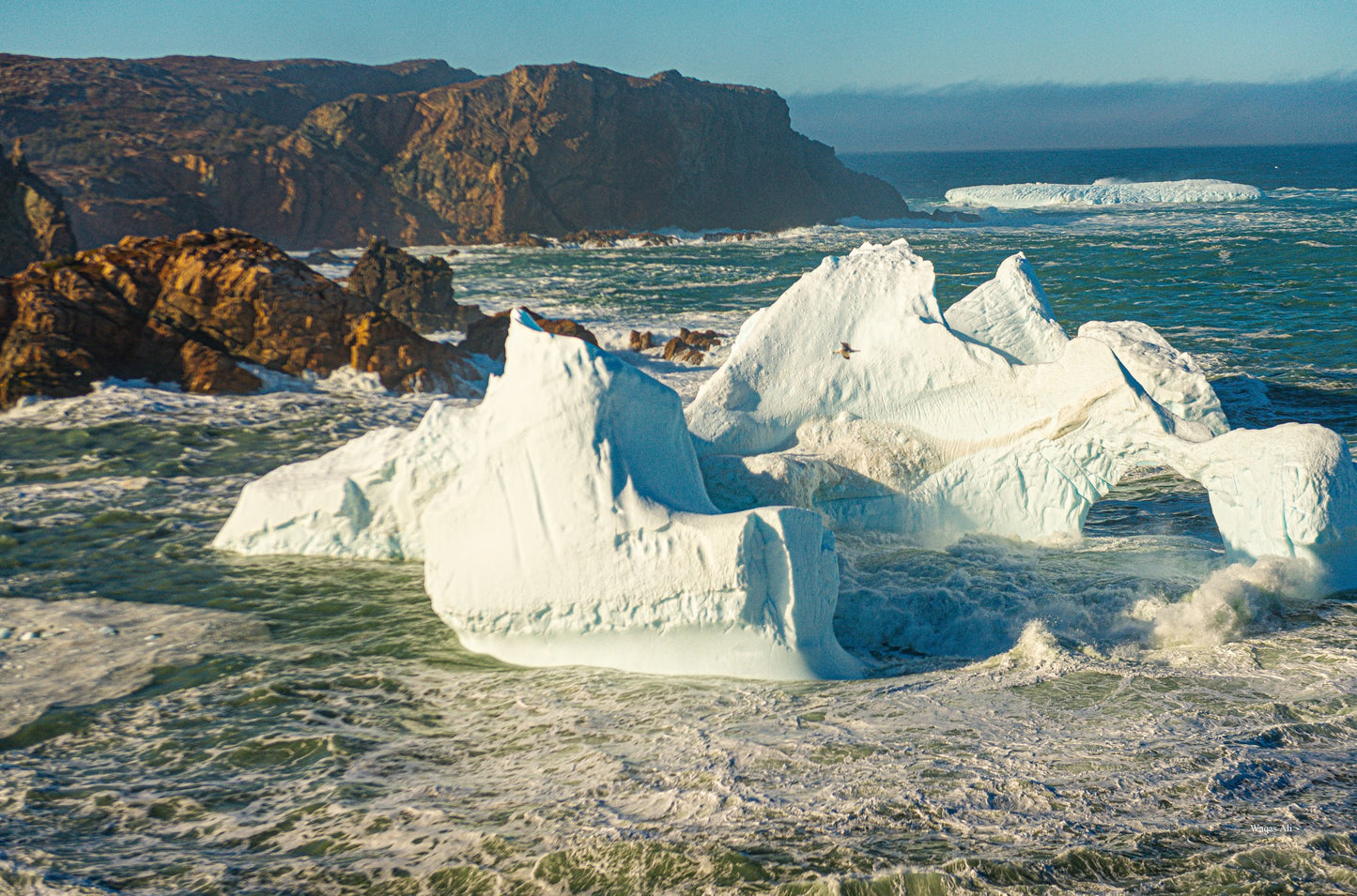 Spillers Cove, Twillingate, Newfoundland and Labrador, Canada