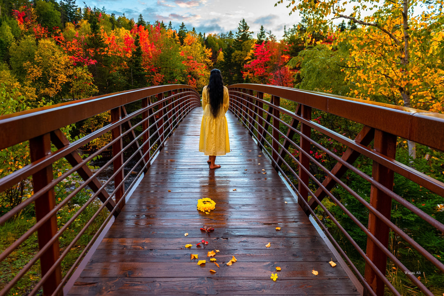 Fall season set in Corner Brook, Newfoundland and Labrador, Canada
