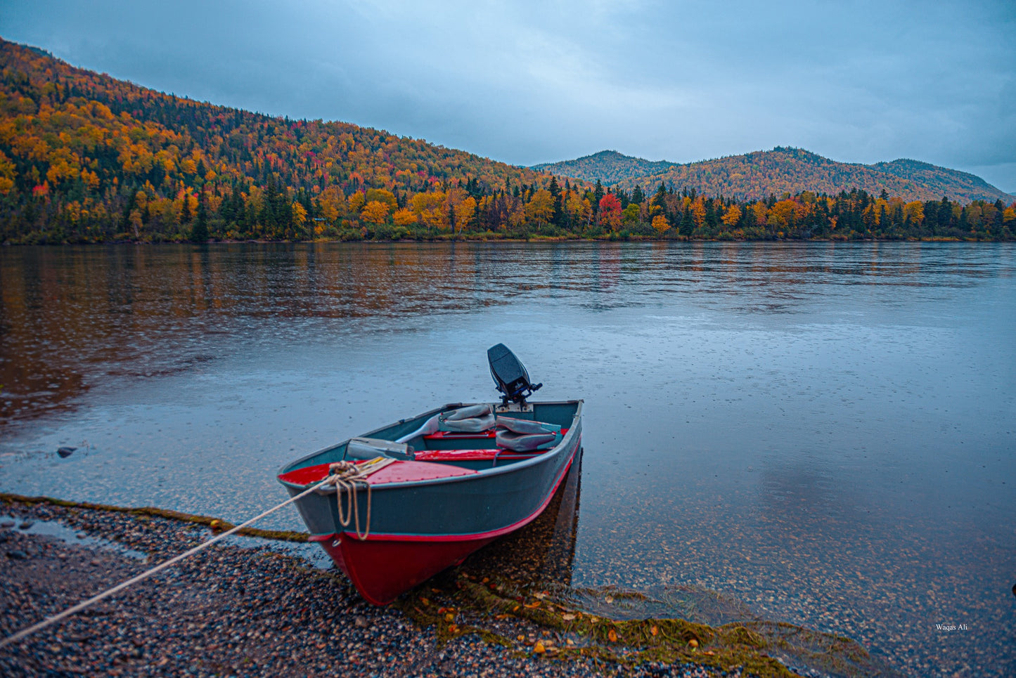 Steady Brook, Newfoundland and Labrador, Canada
