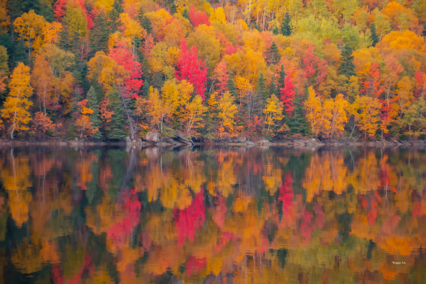 Reflection, Humber River - Newfoundland and Labrador, Canada