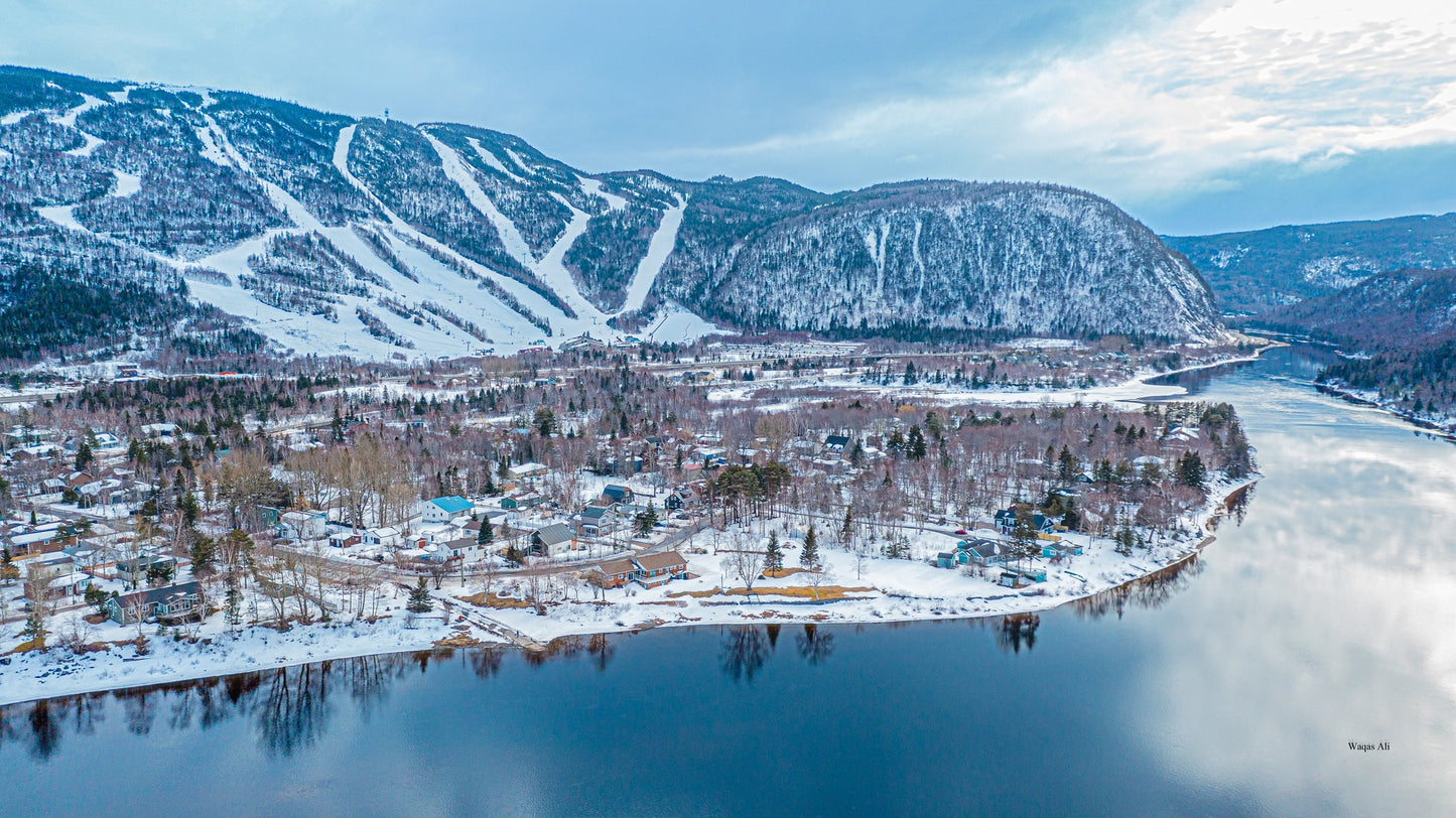 Fresh snowfall transforming the landscape into a winter wonderland
